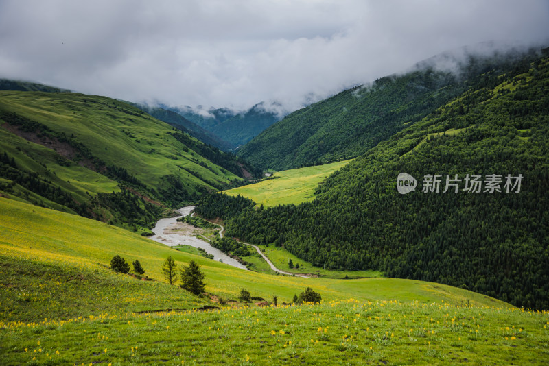 青翠山峦下的广阔草原