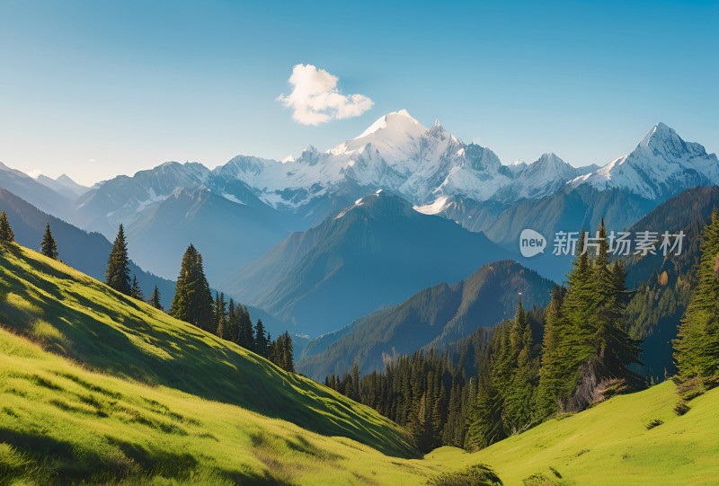 雪山高原草原森林风景