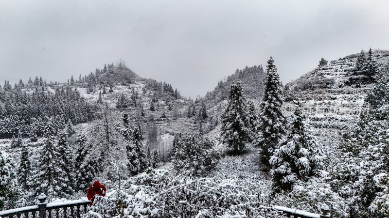 重庆酉阳：大雪纷飞赏雪忙