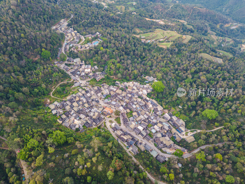 航拍被森林环绕的景迈山村庄全景