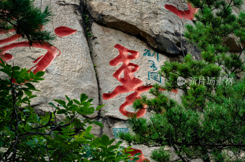 青岛崂山仰口，刻有巨大“寿”字的寿字峰