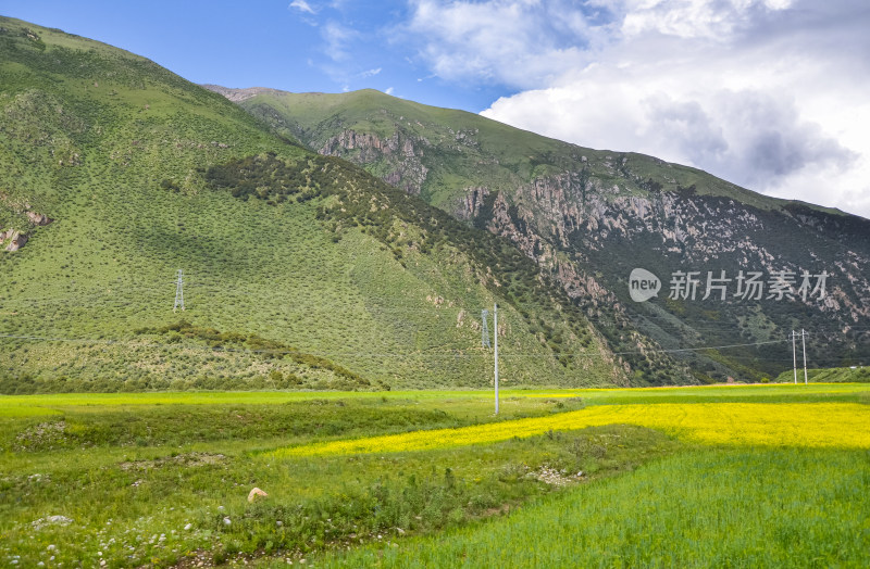 西藏林芝地区318国道川藏公路沿途风景