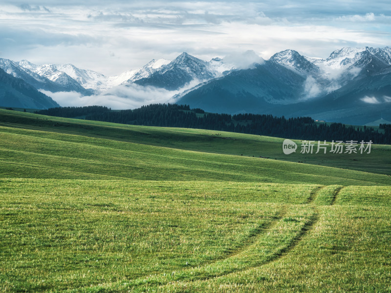 新疆伊犁喀拉峻大草原雪山森林天路