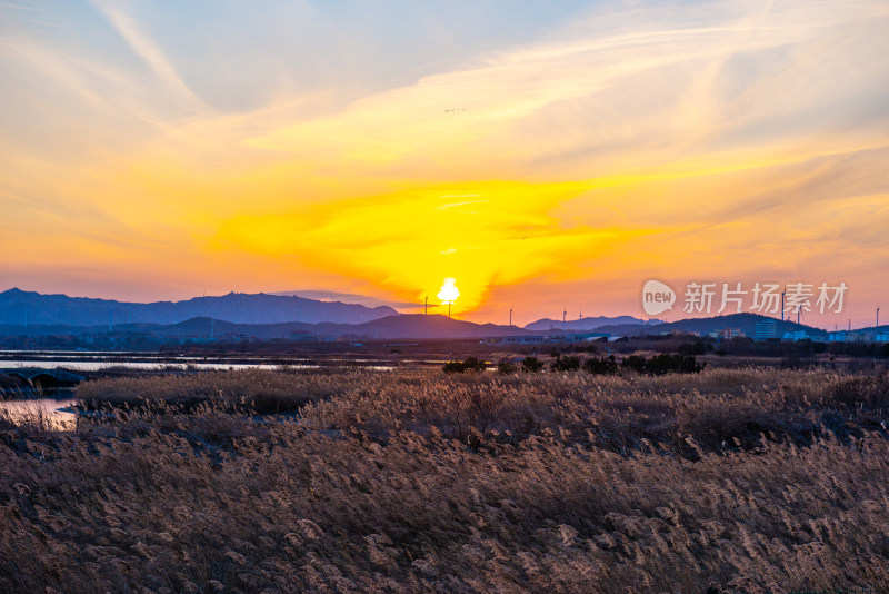 夕阳下的芦苇荡与远山景观