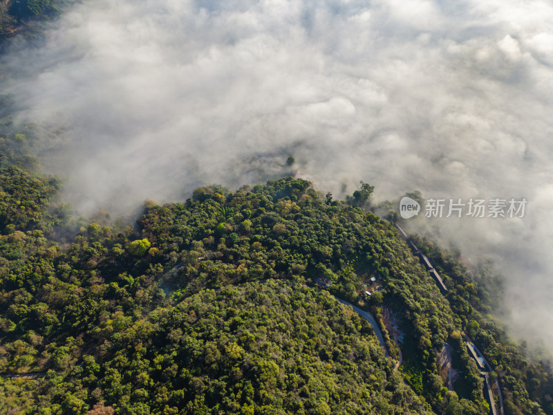 云海中的山峦航拍壮丽自然景观