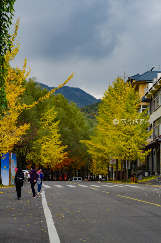 河南洛阳市白云山景区的秋季