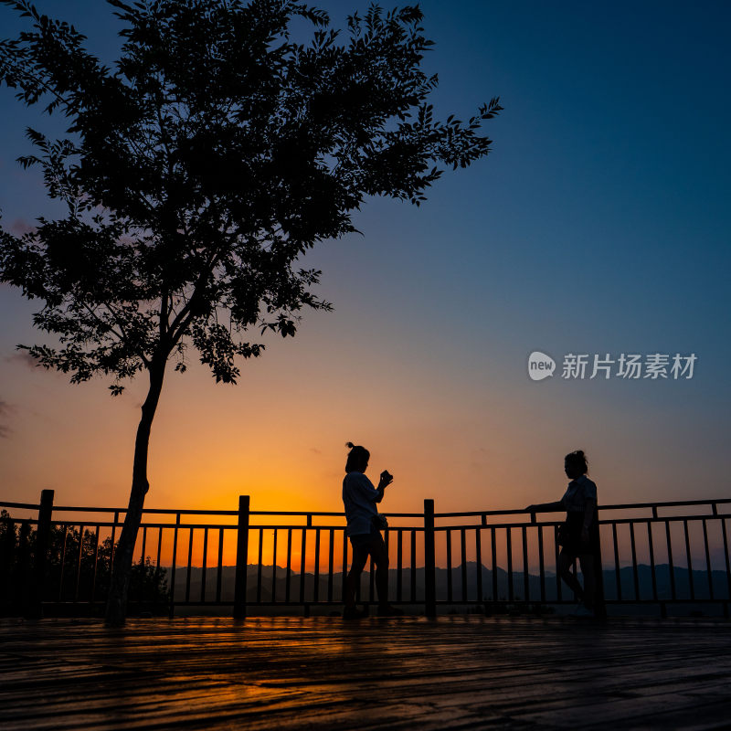 夕阳黄昏女人游客剪影树旁朋友闺蜜游玩