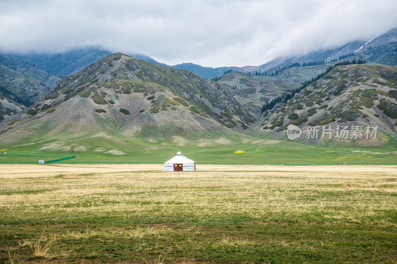 新疆高山牧场 草原森林自然风光