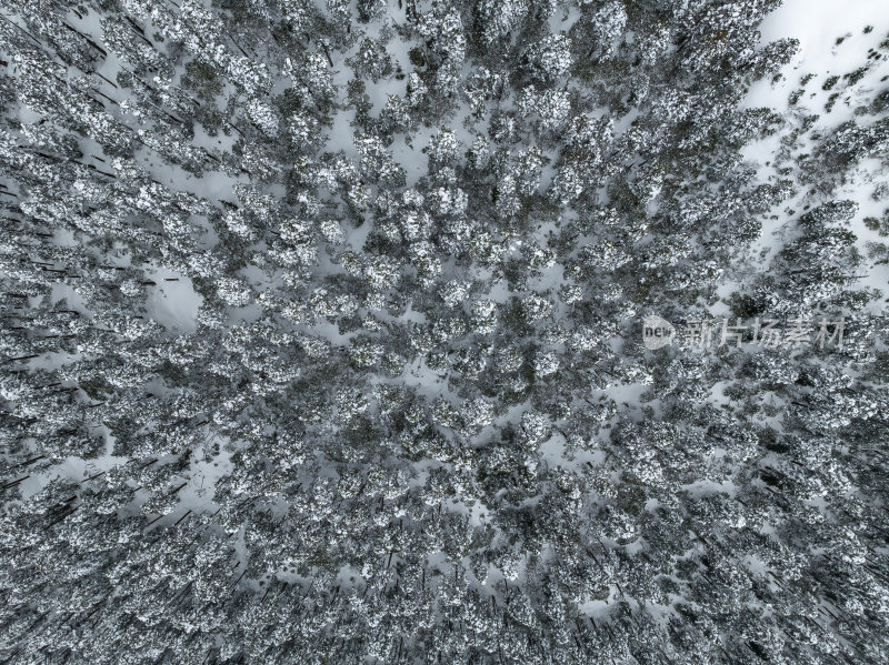 西藏林芝地区墨脱县多雄拉雪山高空航拍