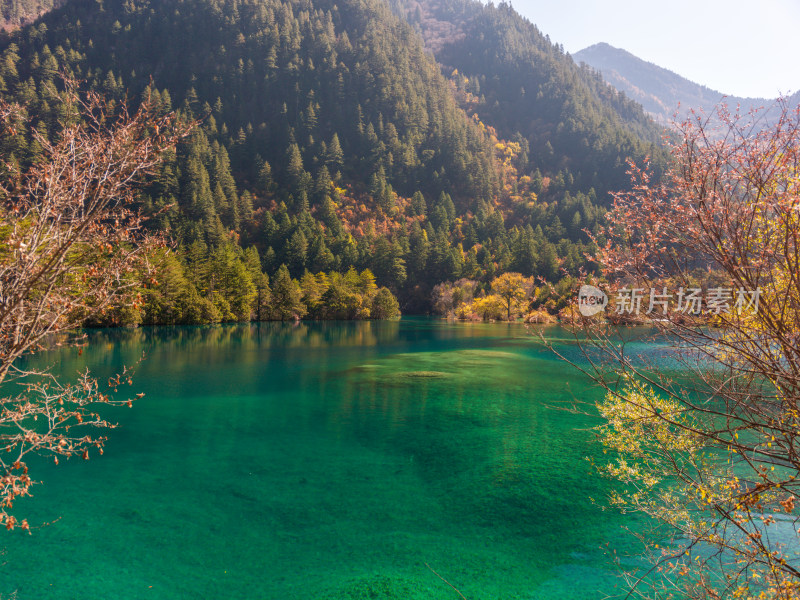 九寨沟秋景