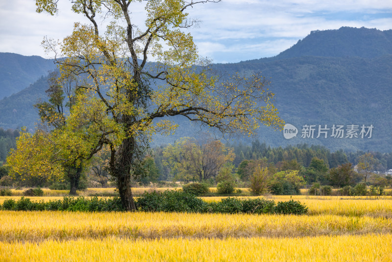 江西安徽黄山精美风光大片