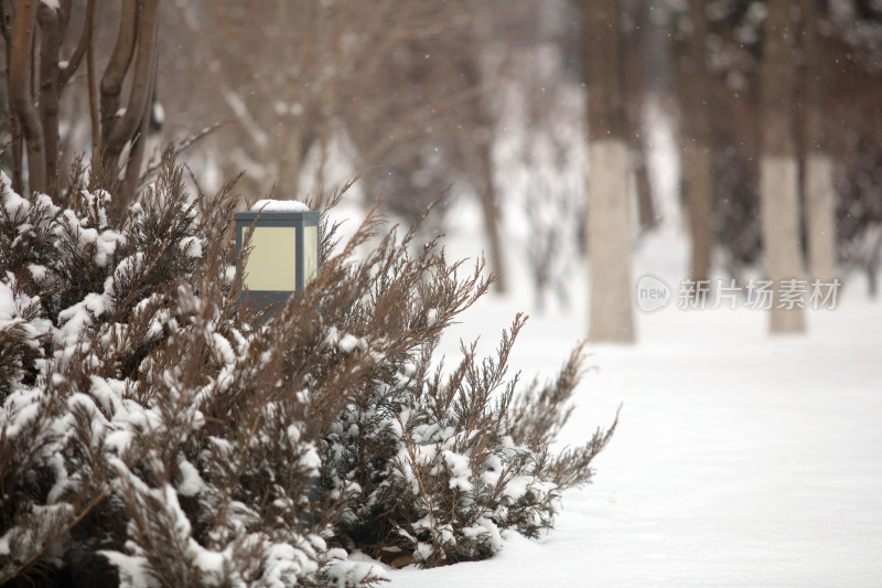 冬天的雪景公园里