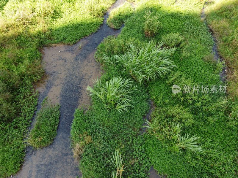 广东东莞：清溪河沿岸风光