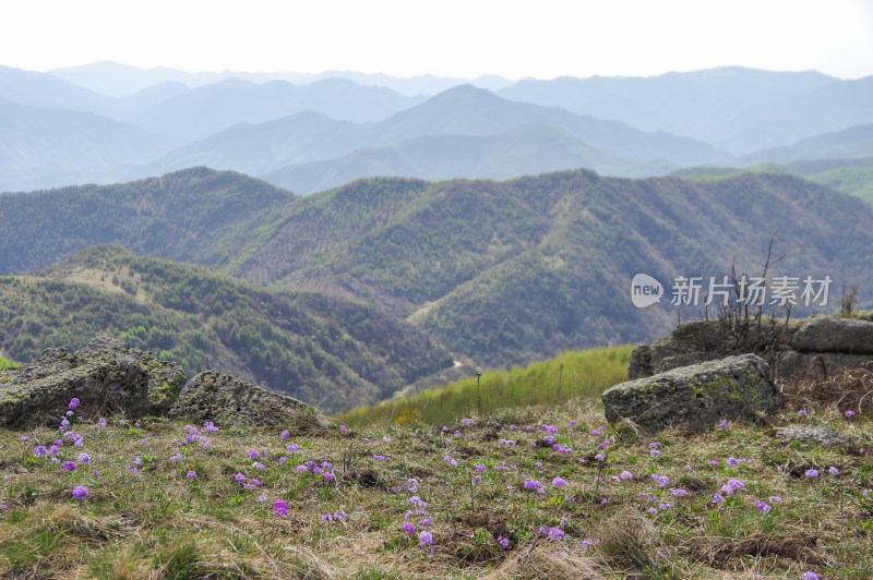 神农架云雾中大好河山