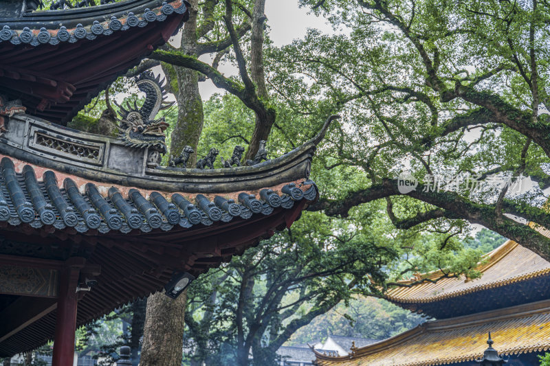 浙江普陀山普济寺禅院建筑