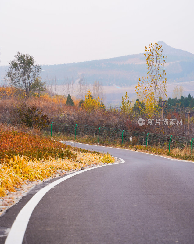 秋天公园多彩的大路