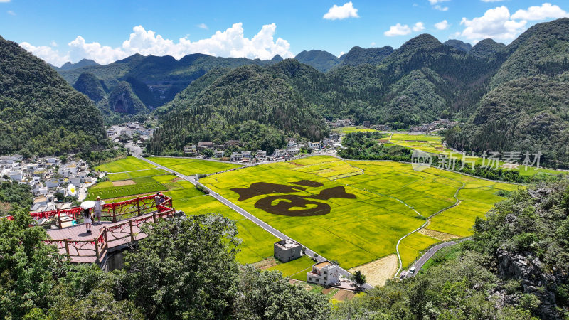 贵州兴义万峰林稻田画乡村振兴风光航拍