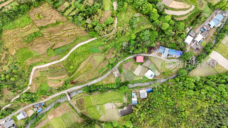 重庆酉阳：绿树成荫掩农家