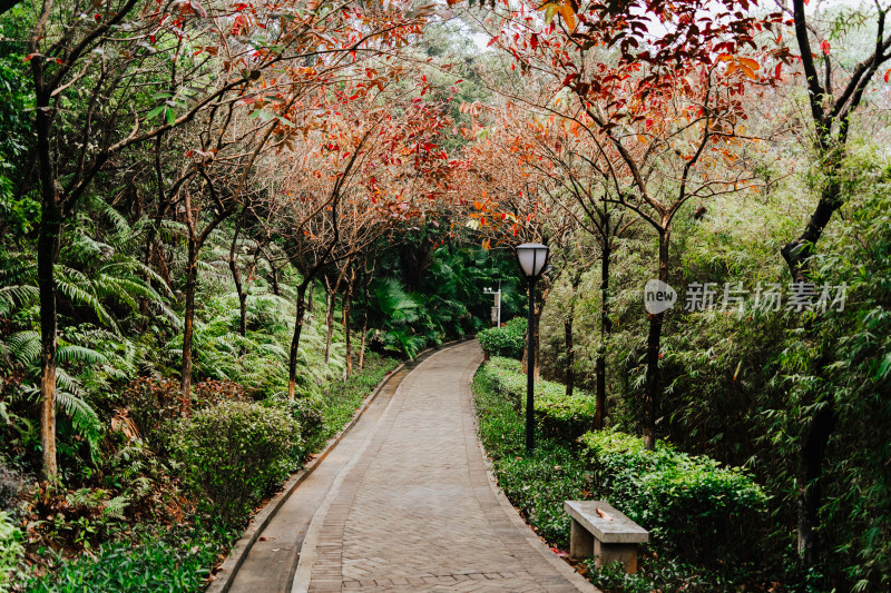 广州盈翠公园