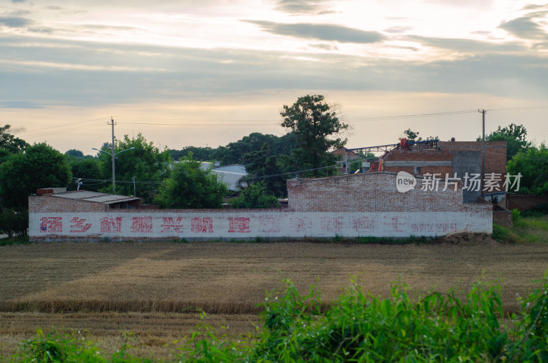 陕西渭南，芒种时节的村庄旁金色麦田