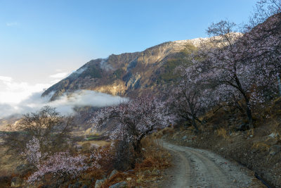 林芝自然风光高清照片