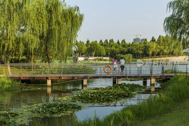 城市园林景观