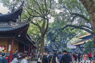 浙江普陀山普济寺禅院建筑