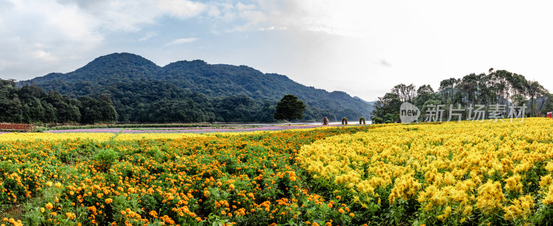 中国广州市从化区石门国家森林公园