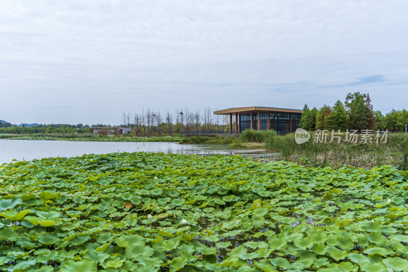 武汉江夏中央大公园风景