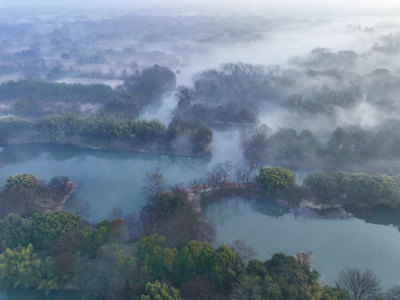 杭州西溪湿地国家公园晨雾美景