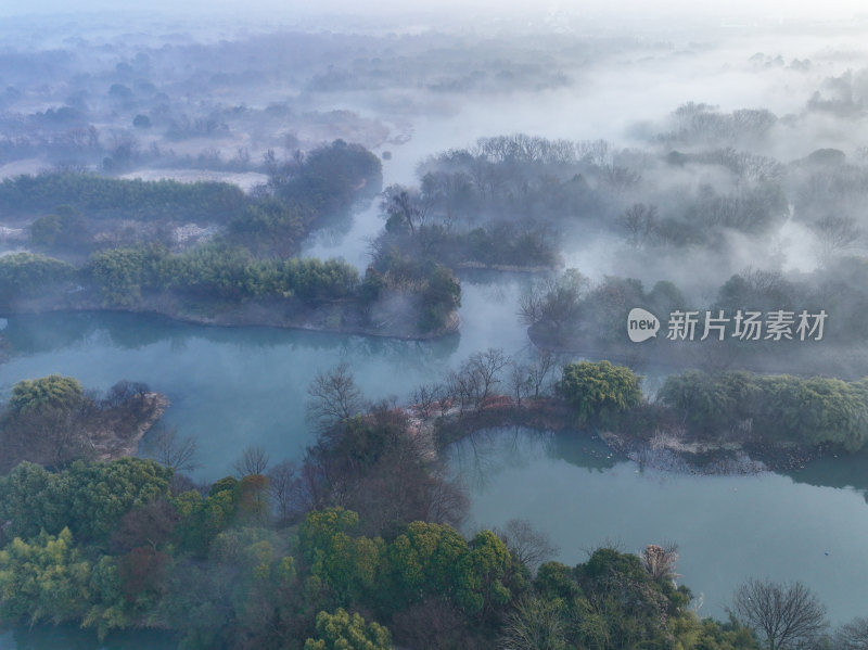 杭州西溪湿地国家公园晨雾美景