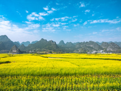 贵州黔西南州兴义市万峰林风景风光