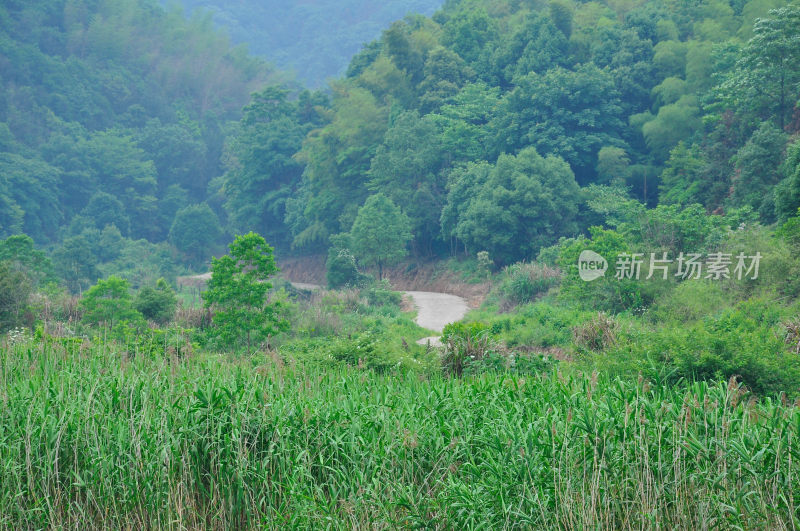 长沙风景，自然风光，长沙城景