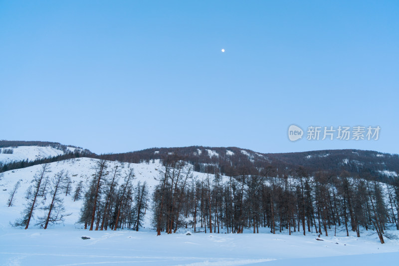 新疆喀纳斯雪景晨雾雪山森林雾凇