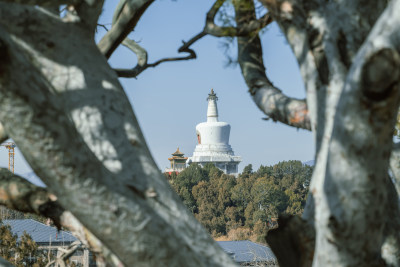 北京北海公园之冬日美景