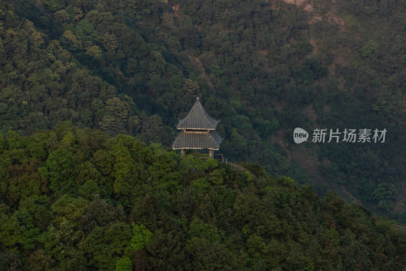 深圳梧桐山