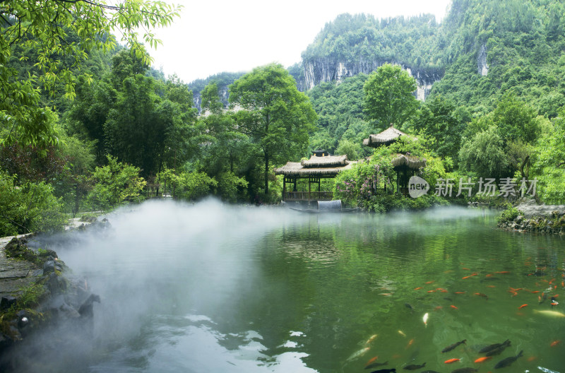 山水间池塘锦鲤与茅草亭景观