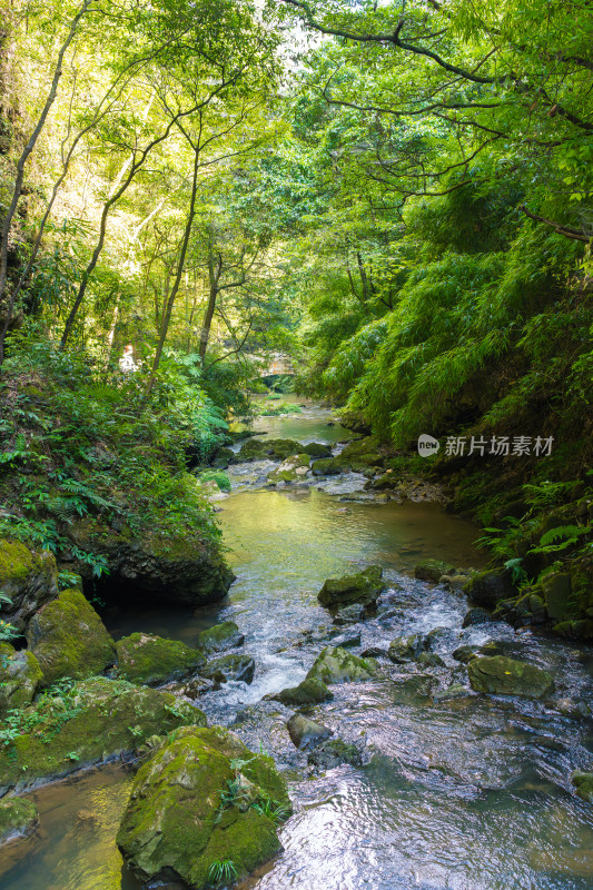 重庆黑山谷的瀑布水流景观