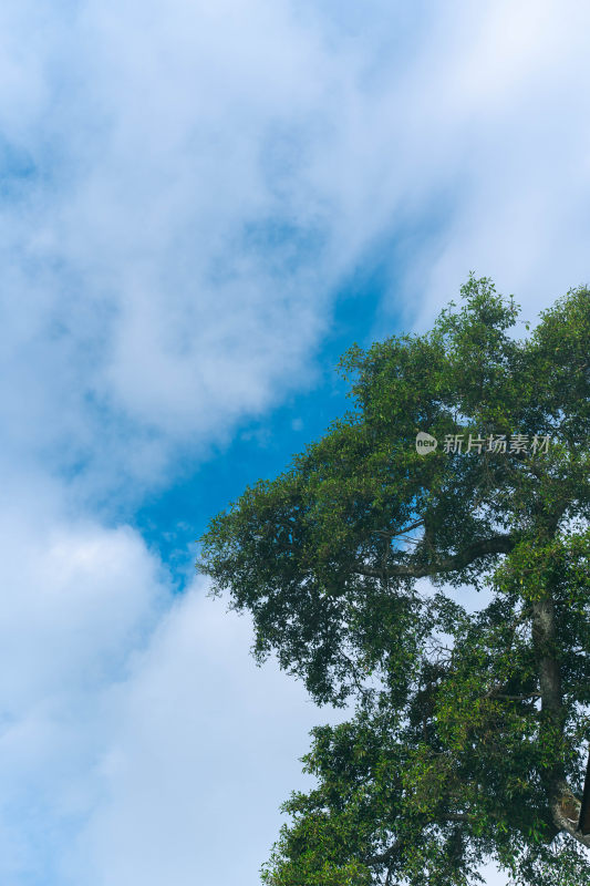 户外风景