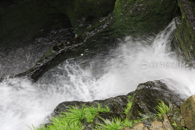 溪流 山间 森林