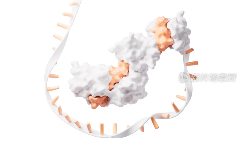 生物科技概念RNA基因元素3D渲染