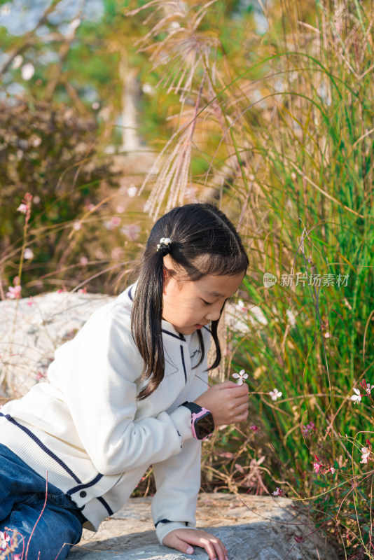 秋天在公园花丛中游玩中国女孩