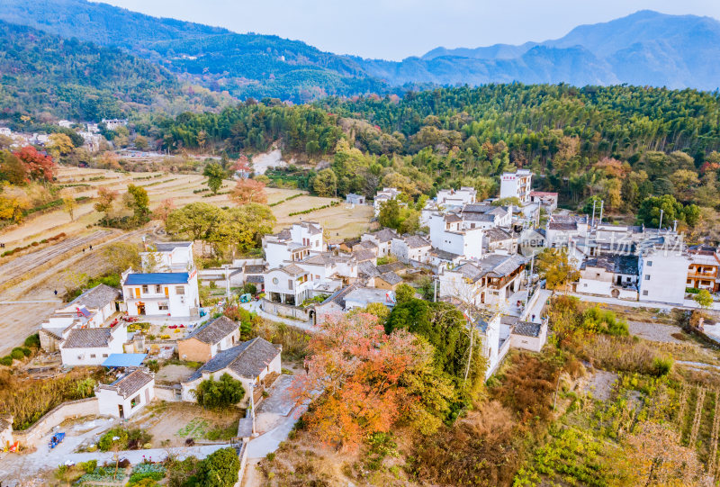 深秋安徽黄山市塔川秋色风光