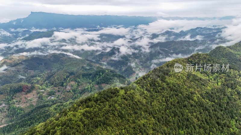 重庆酉阳：雾漫缭绕美青山