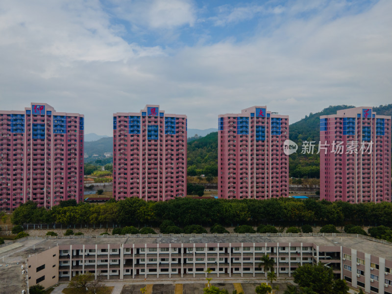 仰恩大学