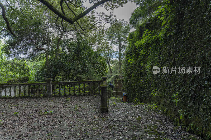 杭州宝石山景区陈文龙墓