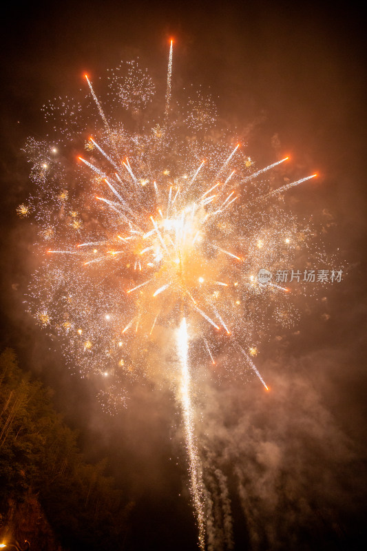 新年绽放的烟花