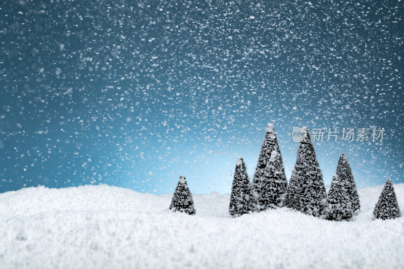 雪中的松树