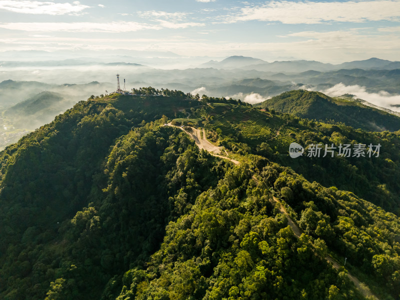 大山原生态高山云海森林绿美