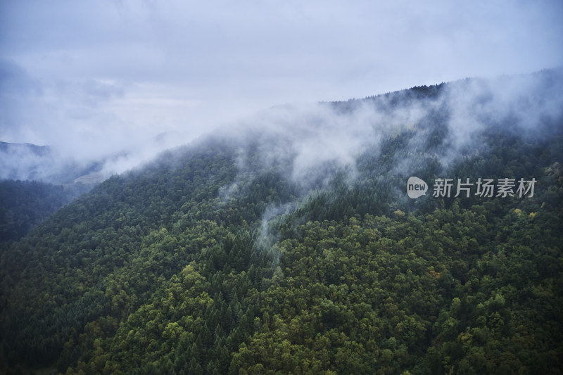 山西长治沁源沁河源头自然美景